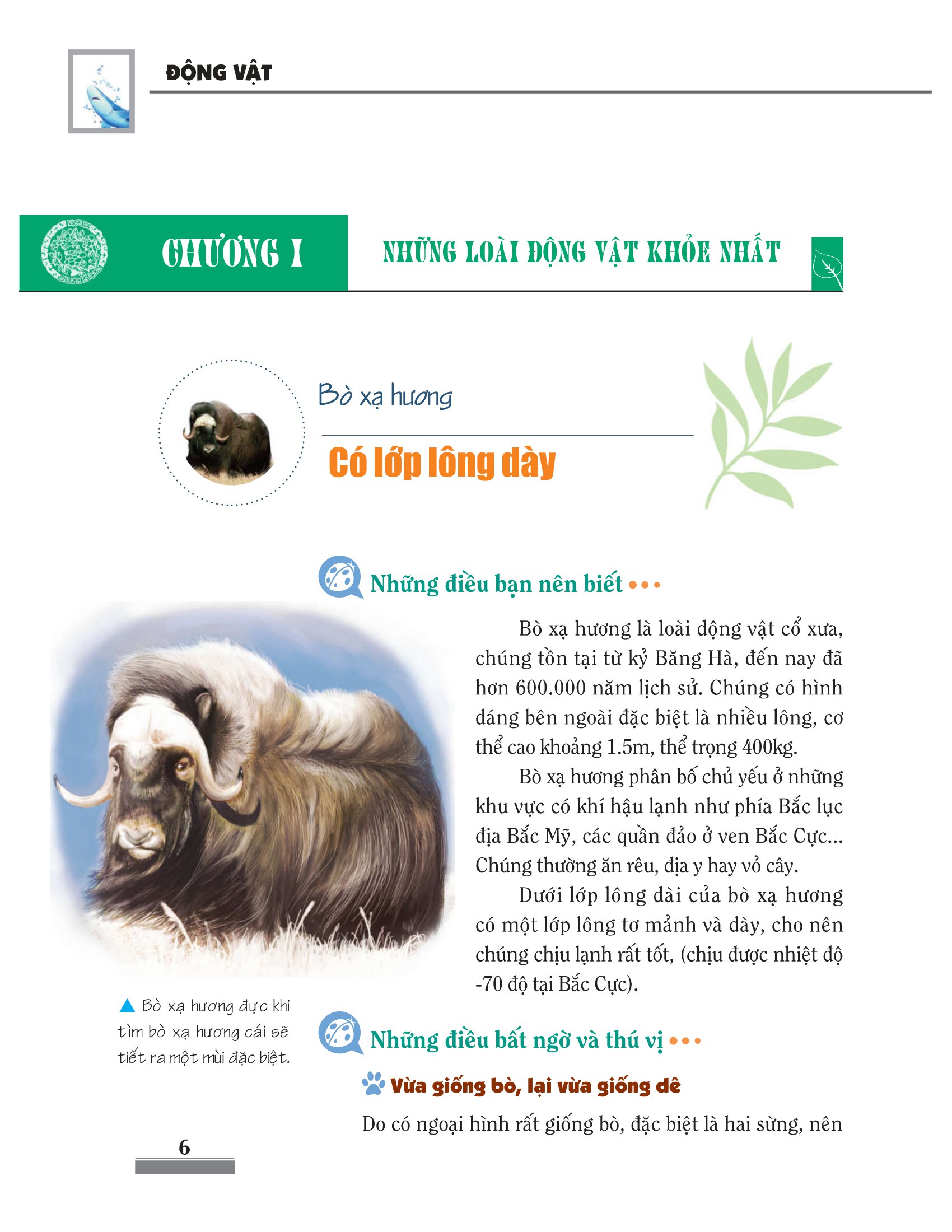 Khám Phá Bí Ẩn Thế Giới Tự Nhiên - Động Vật