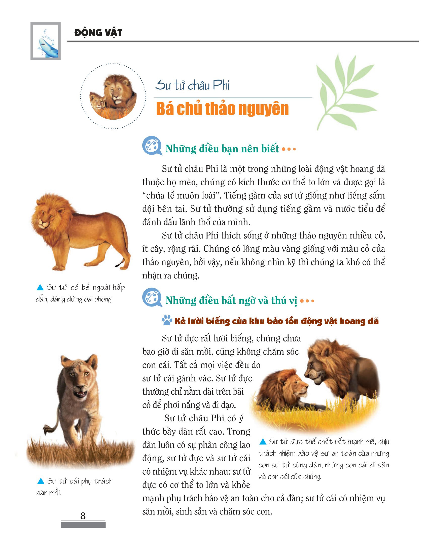 Khám Phá Bí Ẩn Thế Giới Tự Nhiên - Động Vật