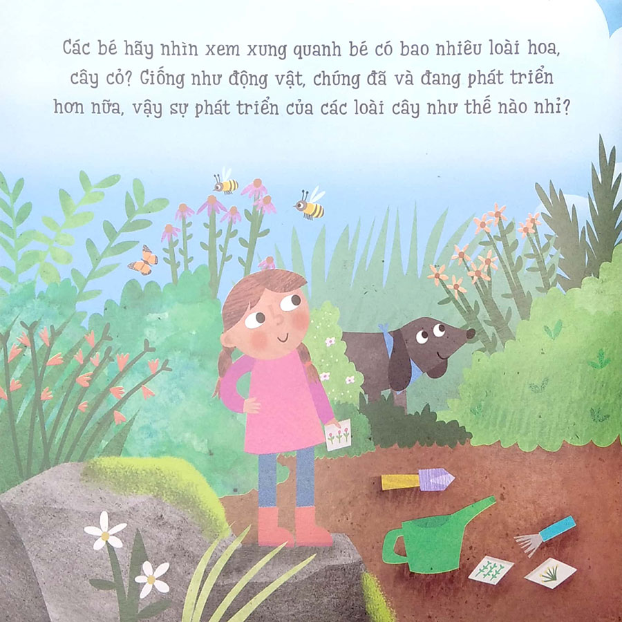Bé Yêu Khám Phá - Vòng Đời Tuyệt Diệu Của Cây