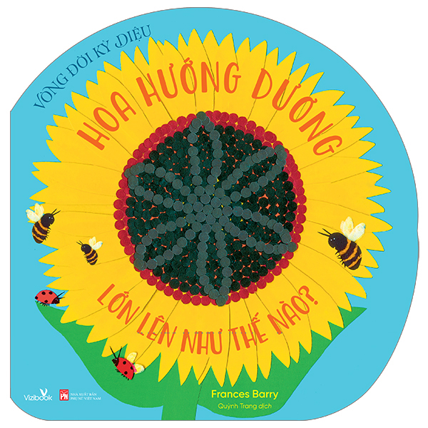 Vòng Đời Kỳ Diệu - Hoa Hướng Dương Lớn Lên Như Thế Nào