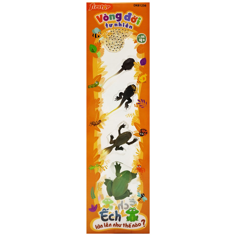 Đồ Chơi Firstar Vòng Đời Tự Nhiên - Ếch Lớn Lên Như Thế Nào? DK81256