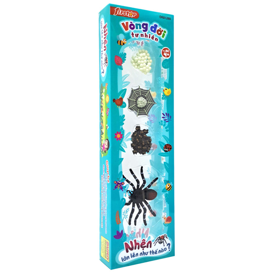 Đồ Chơi Firstar Vòng Đời Tự Nhiên - Nhện Lớn Lên Như Thế Nào? DK81260