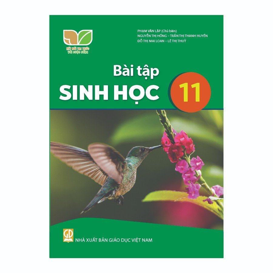 Bài Tập Sinh Học Lớp 11 (Kết Nối Tri Thức Với Cuộc Sống)