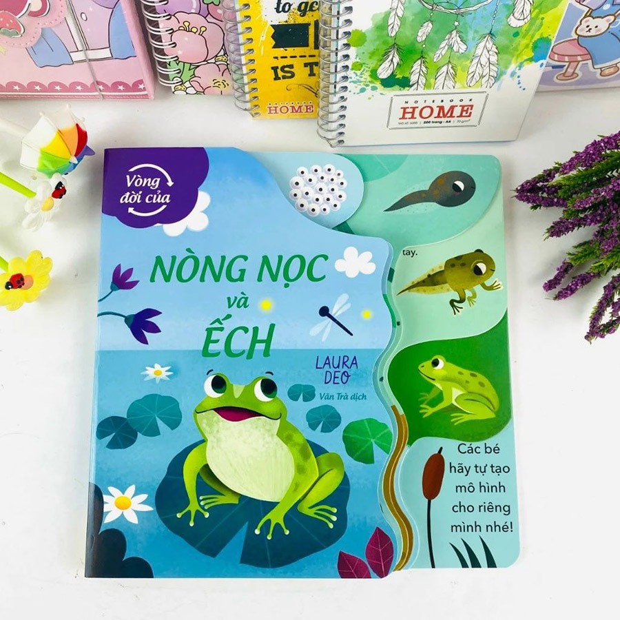 Vòng Đời Của Nòng Nọc Và Ếch