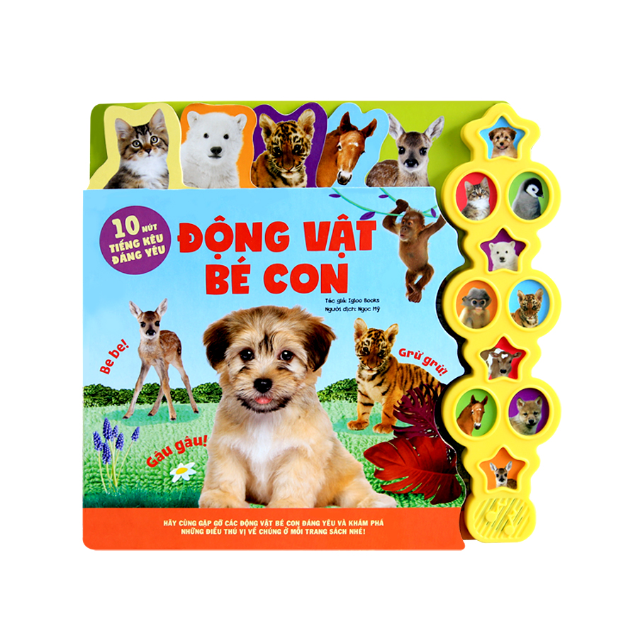 10 Nút Âm Thanh Của Khủng Long - Động Vật Bé Con