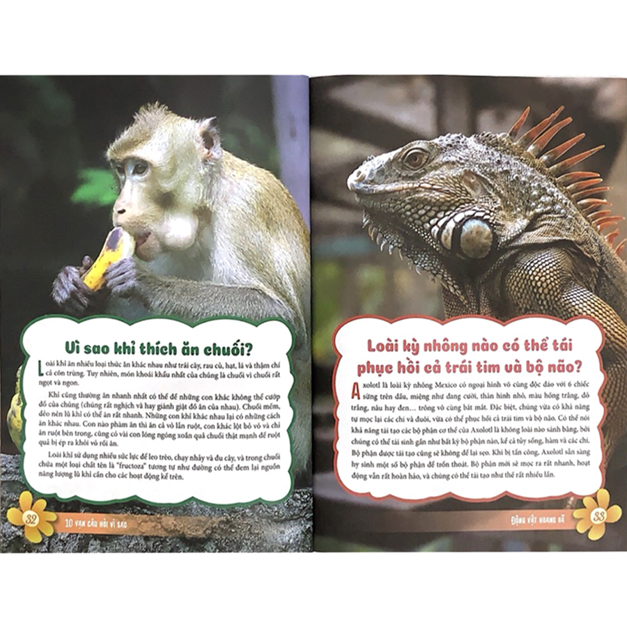 10 Vạn Câu Hỏi Vì Sao - Động Vật Hoang Dã