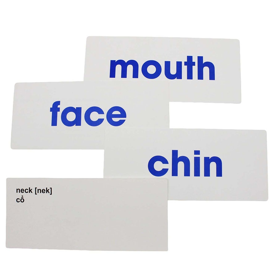 Flash Card Tiếng Anh - Từ Đơn Giản