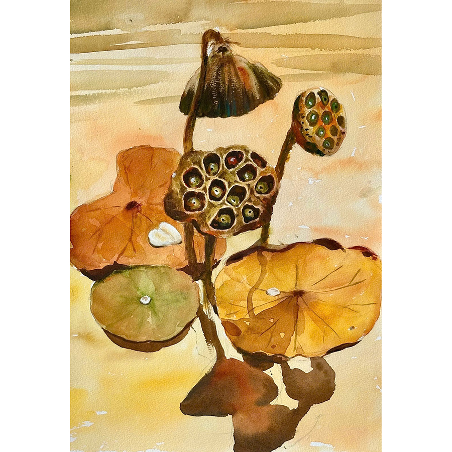 Tranh Màu Nước - Sen Cuối Hạ - ADC18