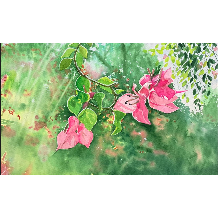 Tranh Màu Nước - Hoa Giấy - ADC51