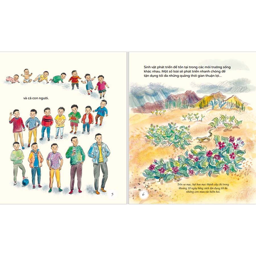 Ngỡ Ngàng Khám Phá – Phát Triển – Bí Mật Của ADN