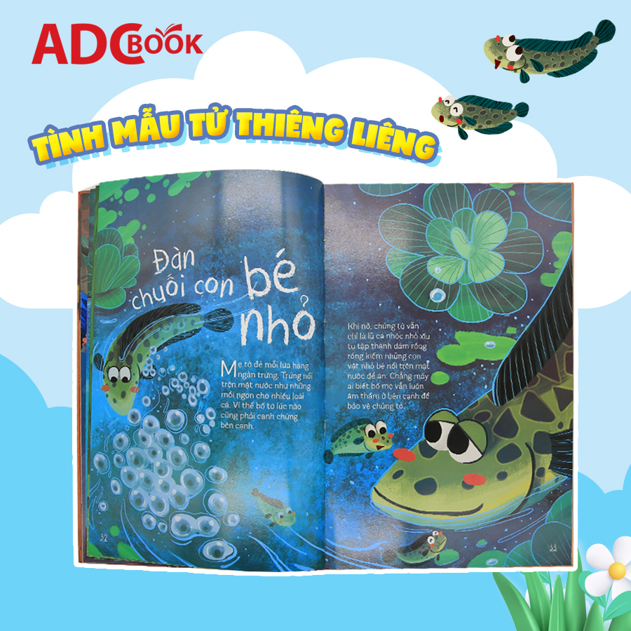Chúng tớ được sinh ra và lớn lên như thế nào?