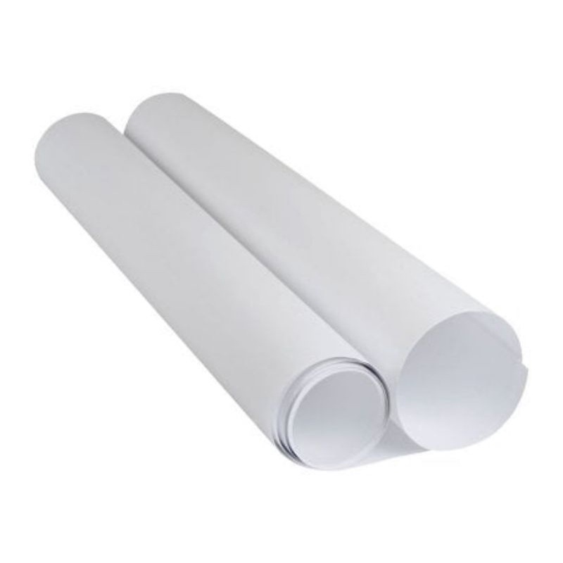 Giấy vẽ A0 DL100 - Đức (LH)