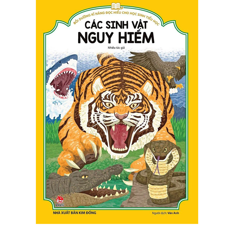 Combo Bồi Dưỡng Kĩ Năng Đọc Hiểu Cho Học Sinh Tiểu Học (6 Cuốn)