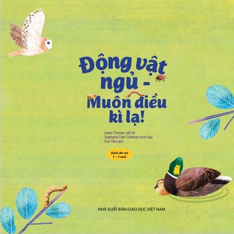 Động Vật Ngủ - Muôn Điều Kì Lạ!