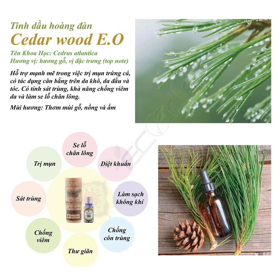 Tinh Dầu Nguyên Chất Ecolife - Hương Hoàng Đàn