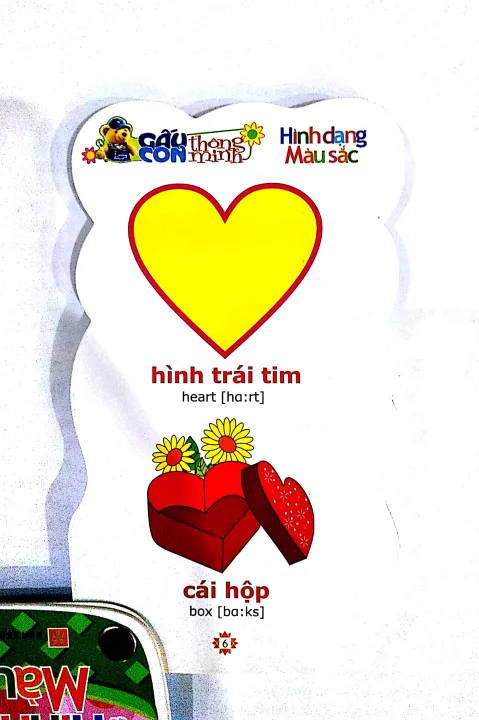 Gấu Con Thông Minh - Hình Dạng, Màu Sắc