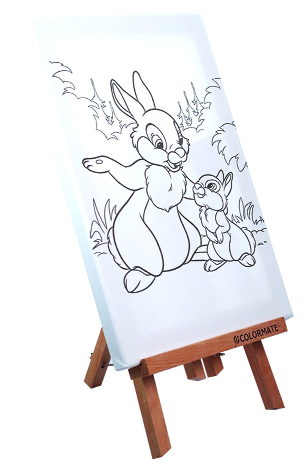 Khung Tranh Vẽ Có Hình CM-CAWBL01