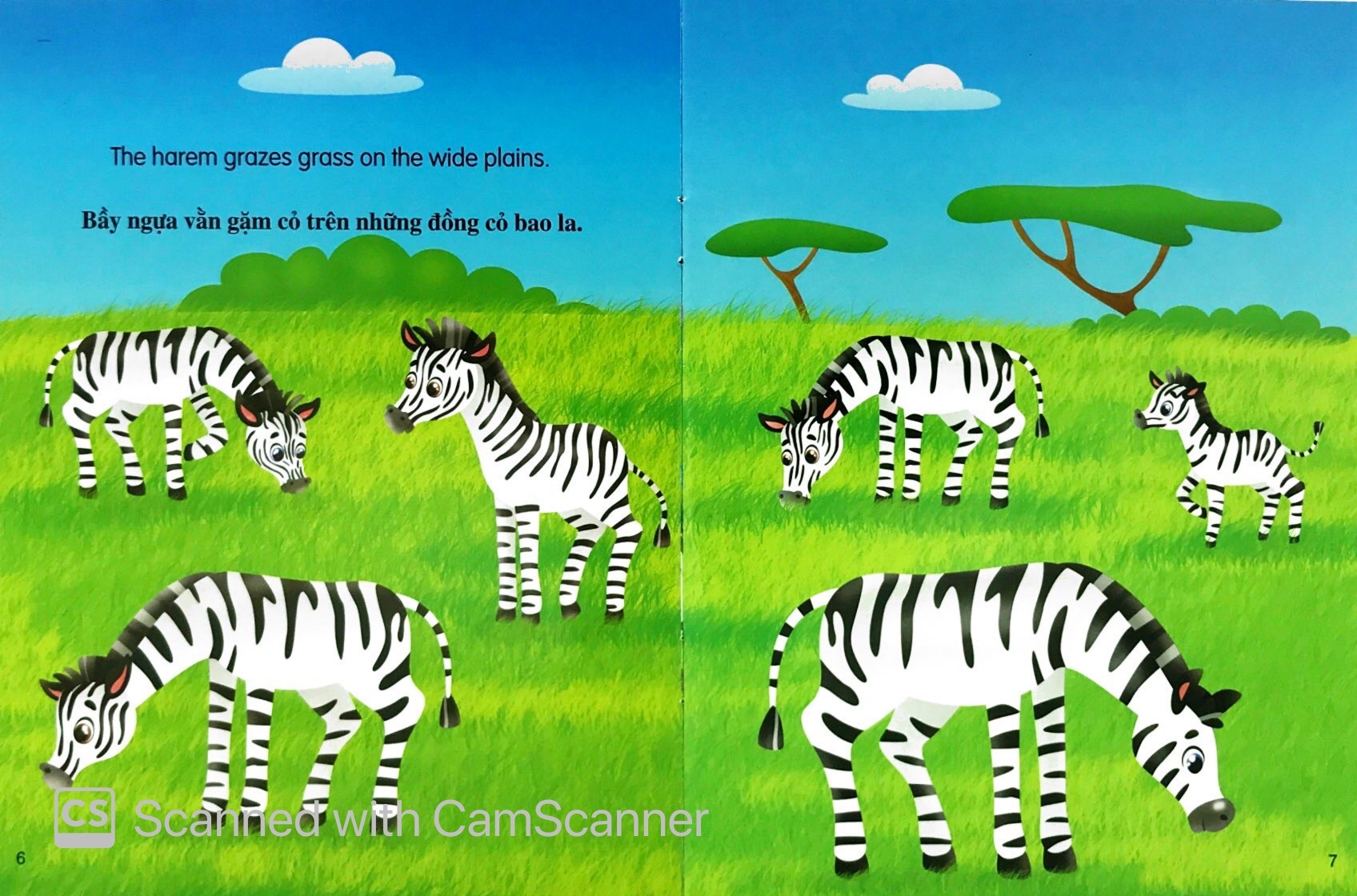 Những Câu Chuyện Về Thế Giới Động Vật - Tớ Là Một Chú Ngựa Vằn - I Am A Zebra (Song Ngữ Anh - Việt)