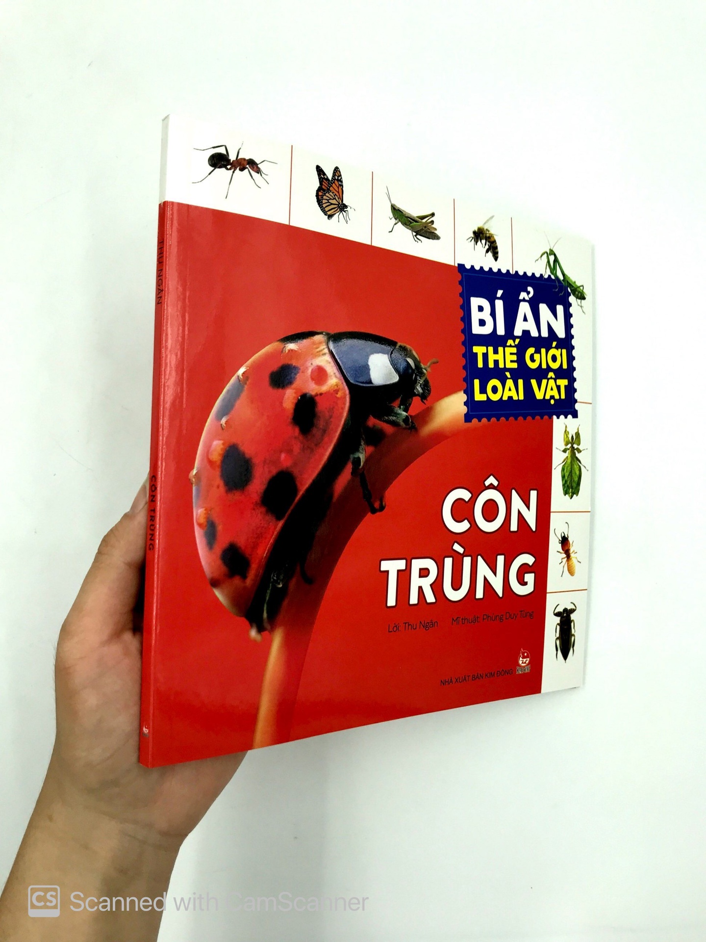 Bí Ẩn Thế Giới Loài Vật - Côn Trùng