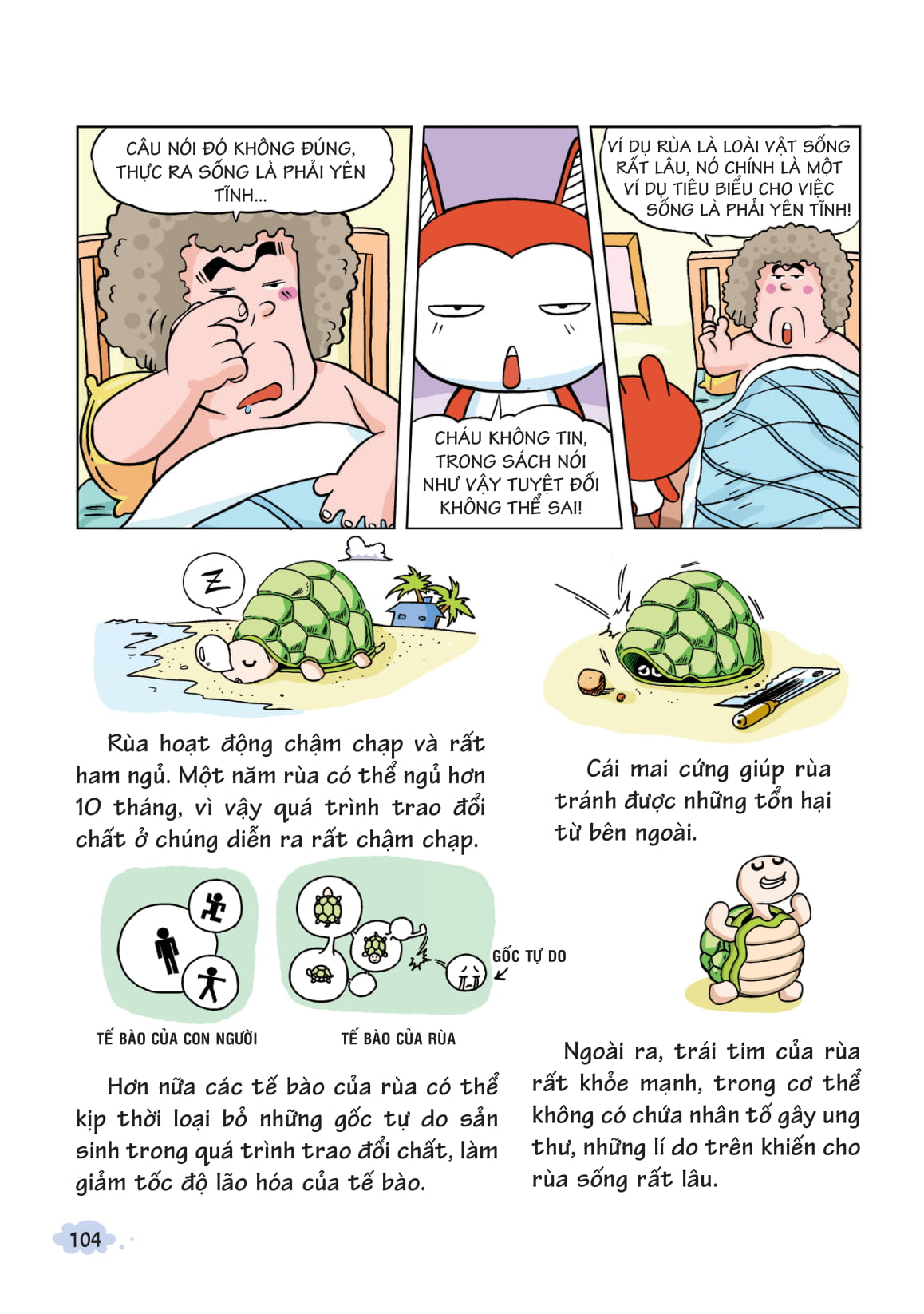 10 Vạn Câu Hỏi Vì Sao - Khám Phá Thế Giới Đại Dương 1