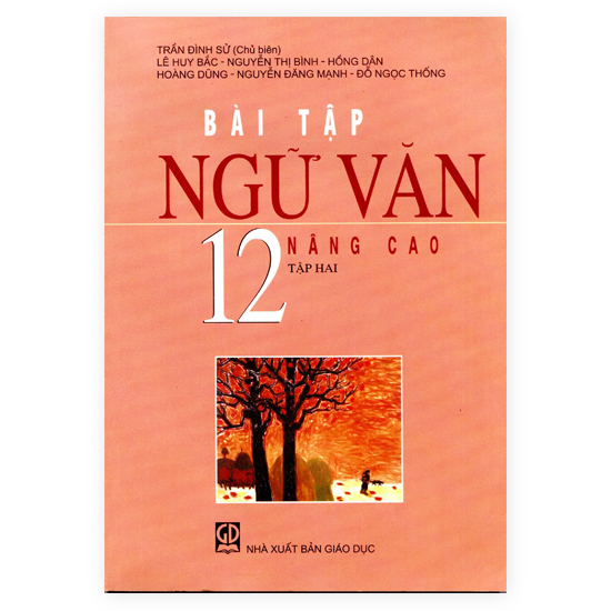 Bài Tập Ngữ Văn Lớp 12 - Tập 2 (Nâng Cao)