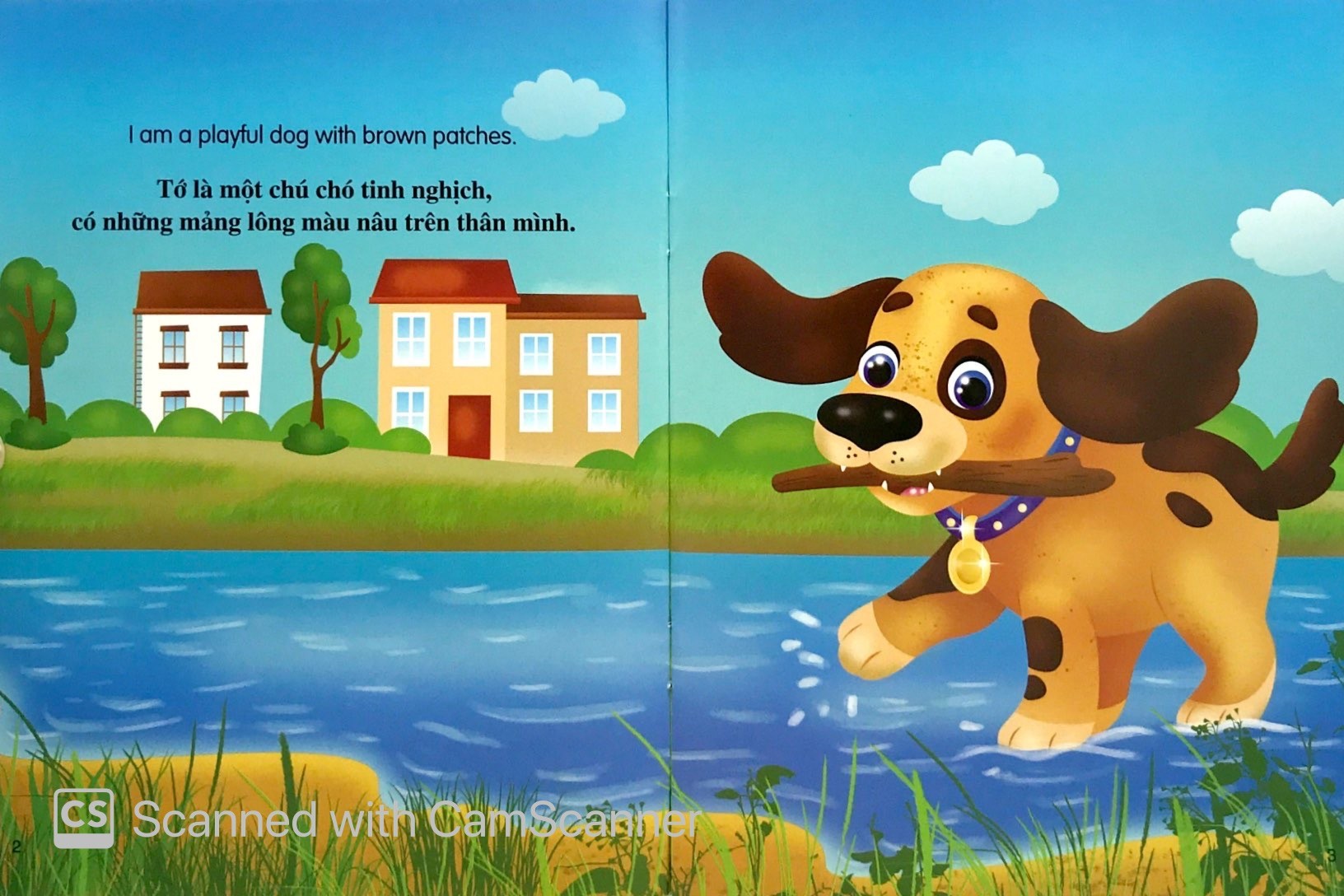 Những Câu Chuyện Về Thế Giới Loài Vật - Tớ Là Một Chú Chó - I Am A Dog (Song Ngữ Anh - Việt)
