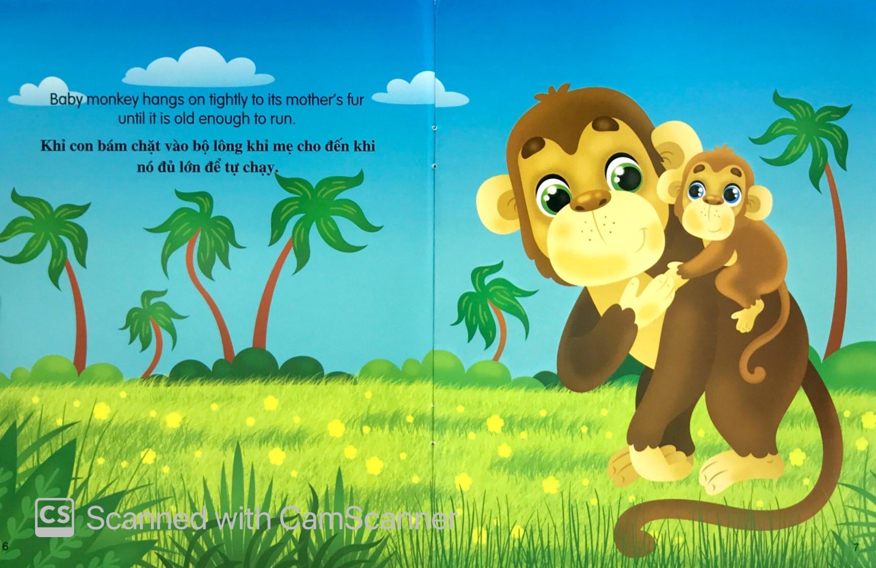 Những Câu Chuyện Về Thế Giới Động Vật - Tớ Là Một Chú Khỉ - I Am A Monkey (Song Ngữ Anh - Việt)