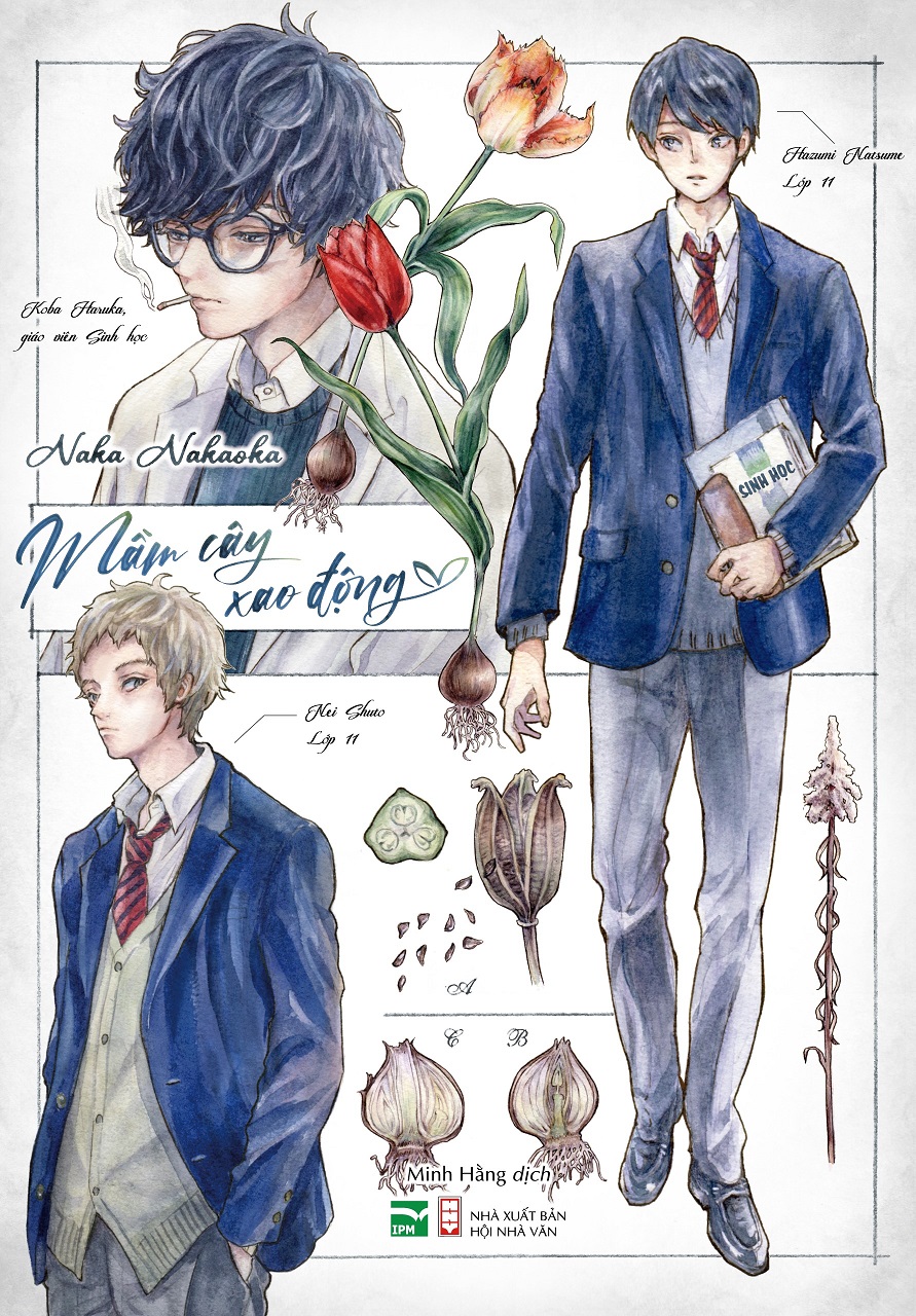 Tulip x Mimosa - Mầm Cây Xao Động + Cây Lá Mùa Xuân (Bộ 2 Cuốn)