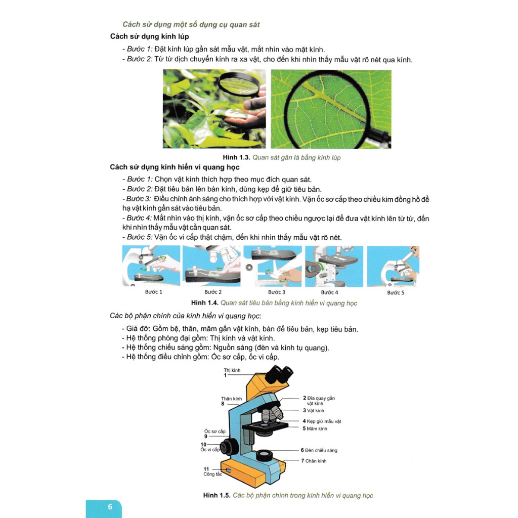 Củng Cố Và Ôn Luyện Khoa Học Tự Nhiên Lớp 6 (Chương Trình Mới)