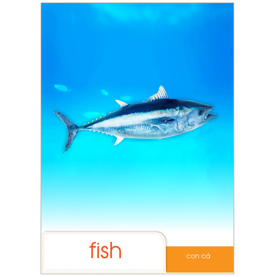 Bộ Tranh Bé Làm Quen Với Tiếng Anh Theo Chủ Đề - Chủ Đề Động Vật