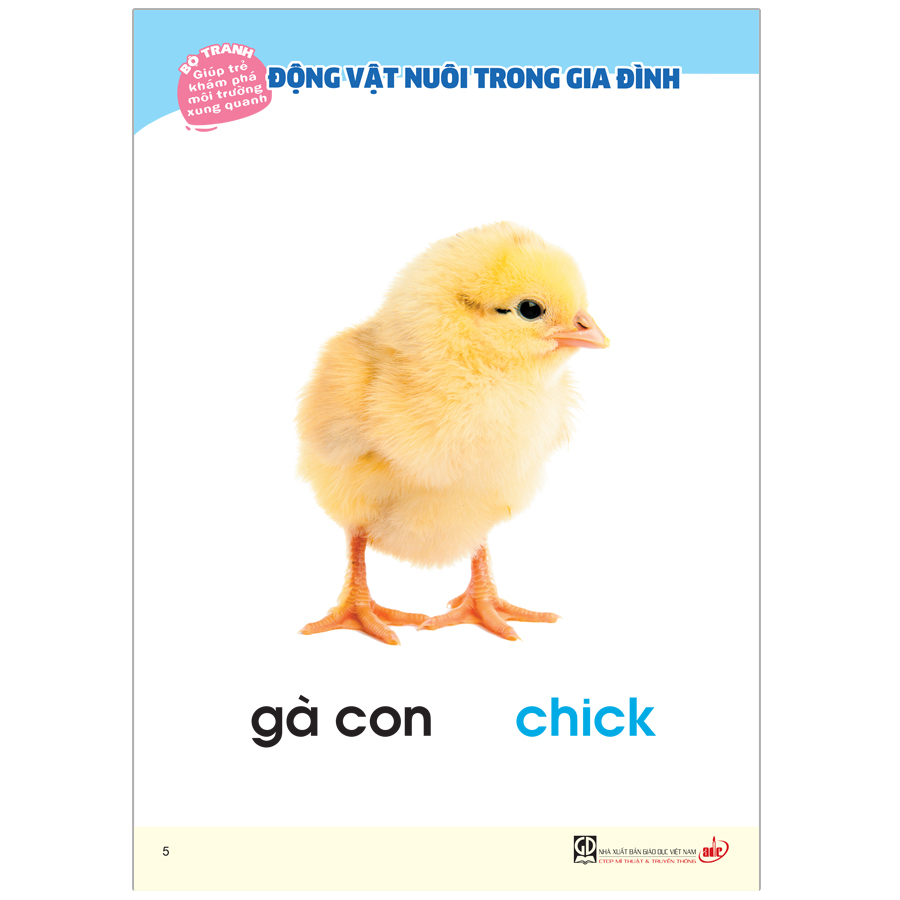 Bộ Tranh Giúp Trẻ Khám Phá Môi Trường Xung Quanh - Động Vật Nuôi Trong Gia Đình (Song Ngữ Việt - Anh)