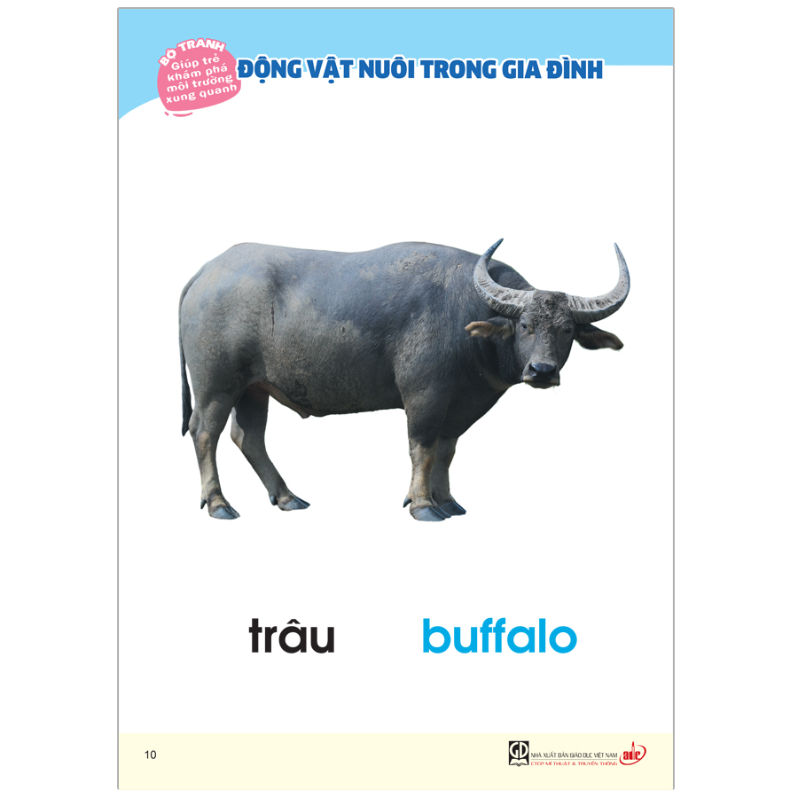 Bộ Tranh Giúp Trẻ Khám Phá Môi Trường Xung Quanh - Động Vật Nuôi Trong Gia Đình (Song Ngữ Việt - Anh)