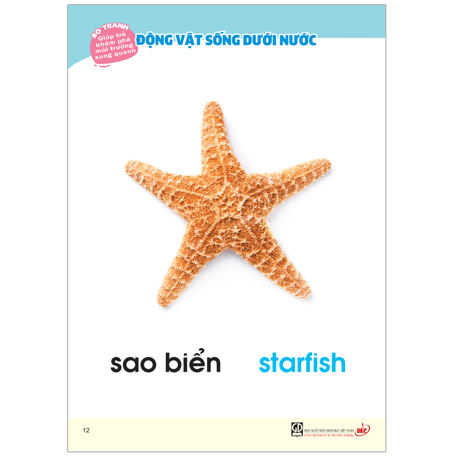 Bộ Tranh Giúp Trẻ Khám Phá Môi Trường Xung Quanh - Động Vật Sống Dưới Nước (Song Ngữ Việt - Anh)