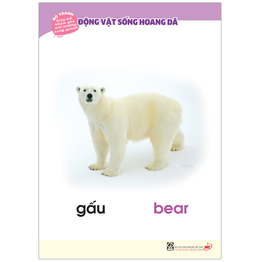Bộ Tranh Giúp Trẻ Khám Phá Môi Trường Xung Quanh - Động Vật Sống Hoang Dã (Song Ngữ Việt - Anh)