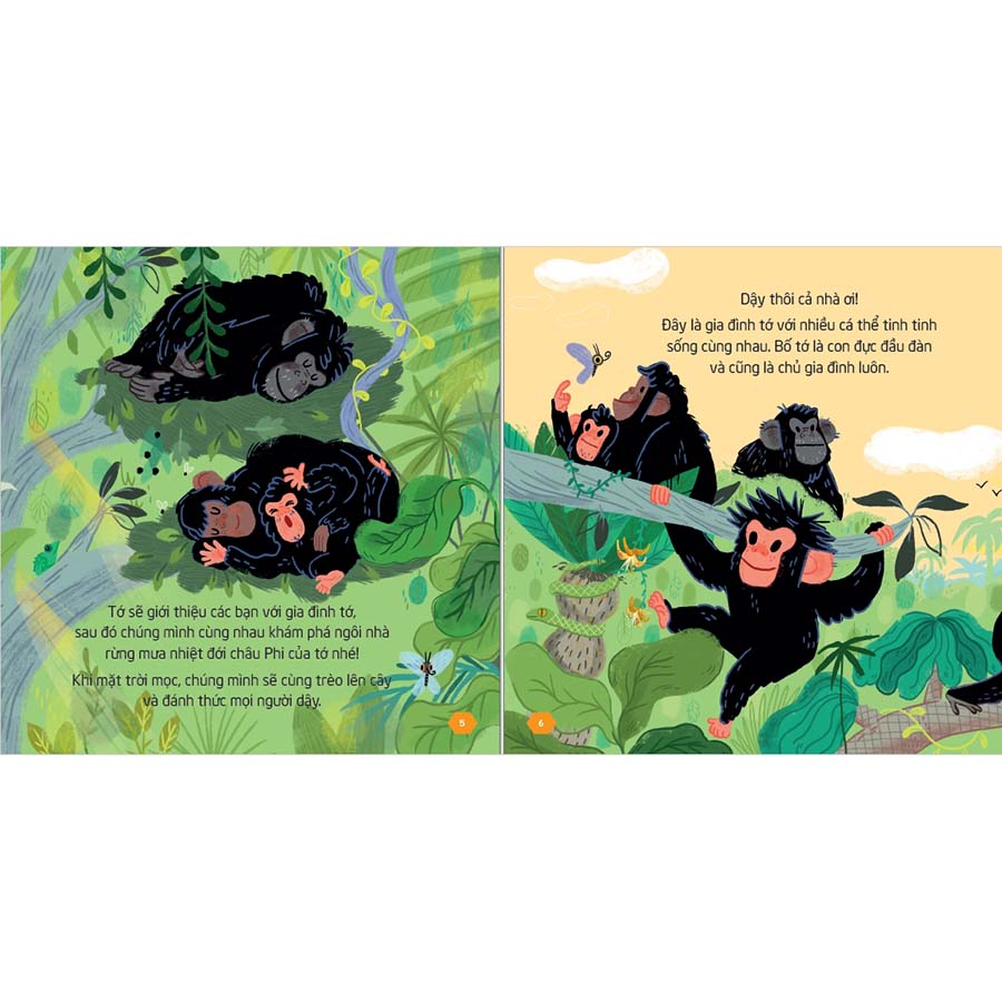 Một Ngày Của Gia Đình Tớ - Tinh Tinh