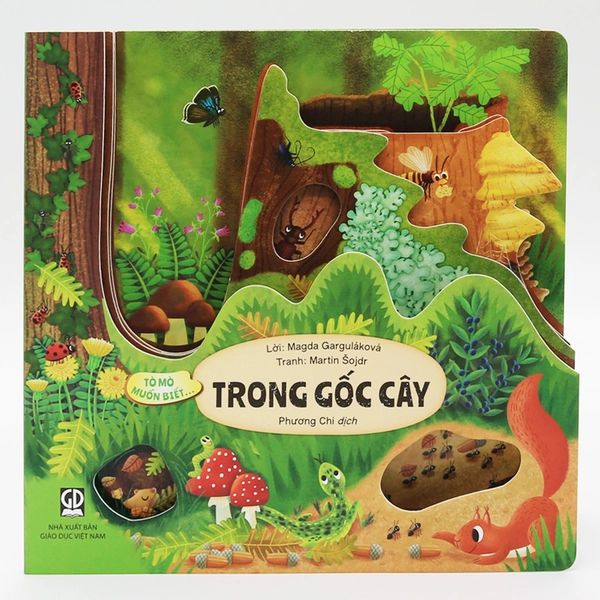 Tò Mò Muốn Biết - Trong Gốc Cây