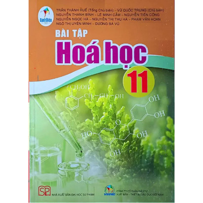 Bài Tập Hóa Học Lớp 11 (Cánh Diều)