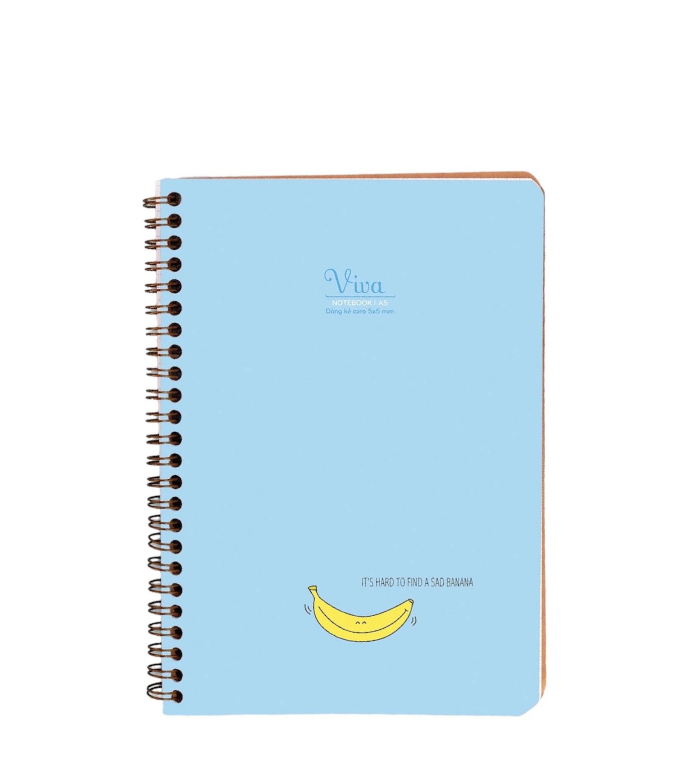 Sổ Lò Xo Hải Tiến Caro A6 6539 200Tr