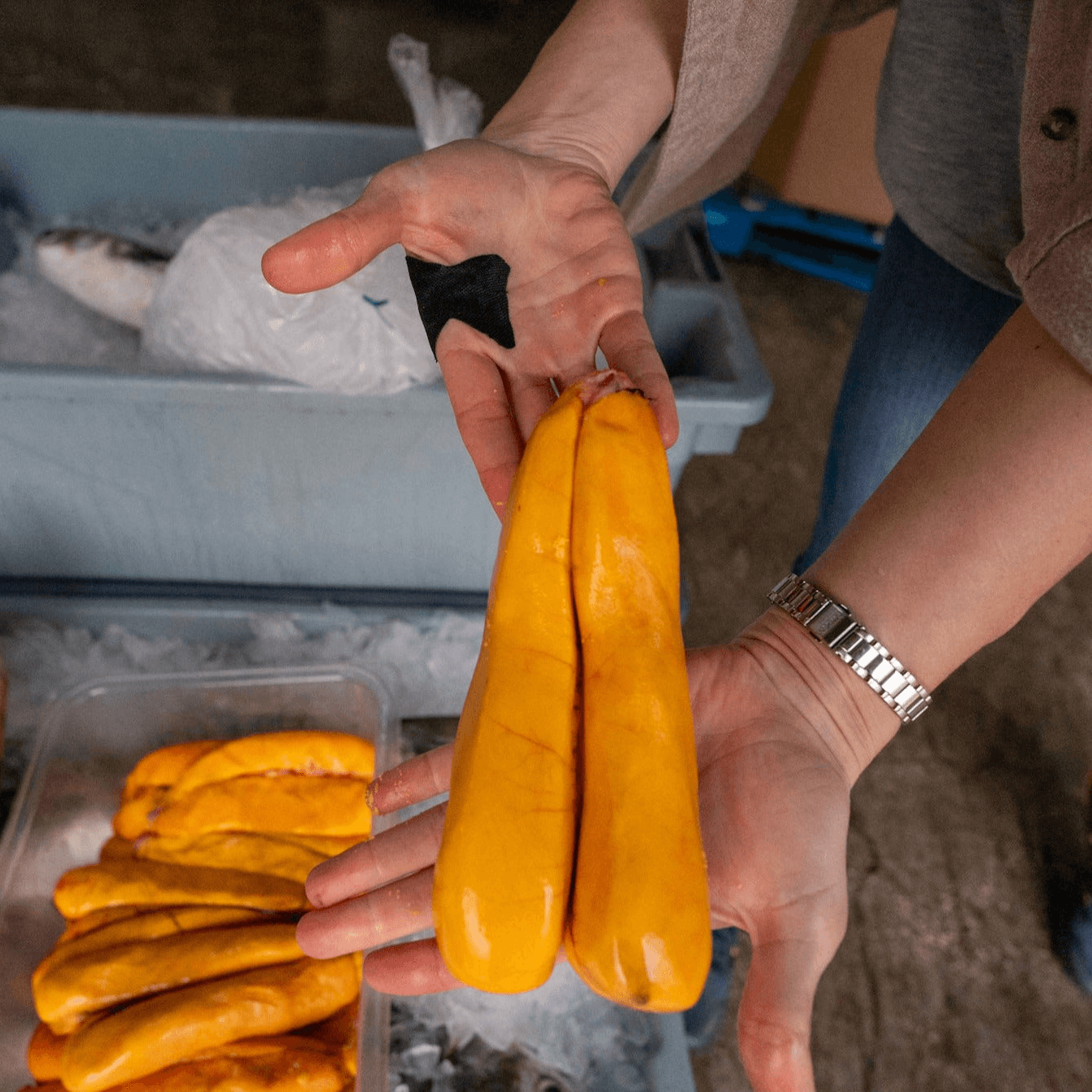Fresh Mullet Roe - Florida