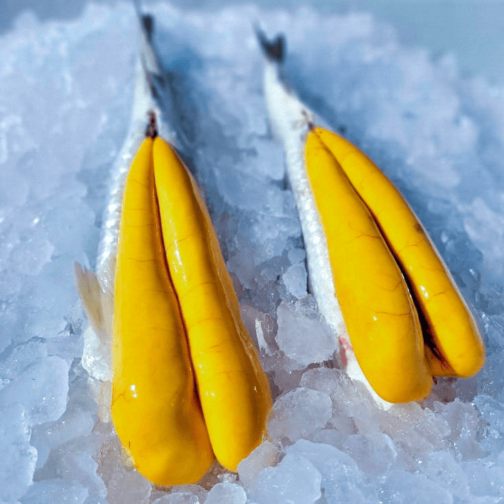 Fresh Mullet Roe - Florida