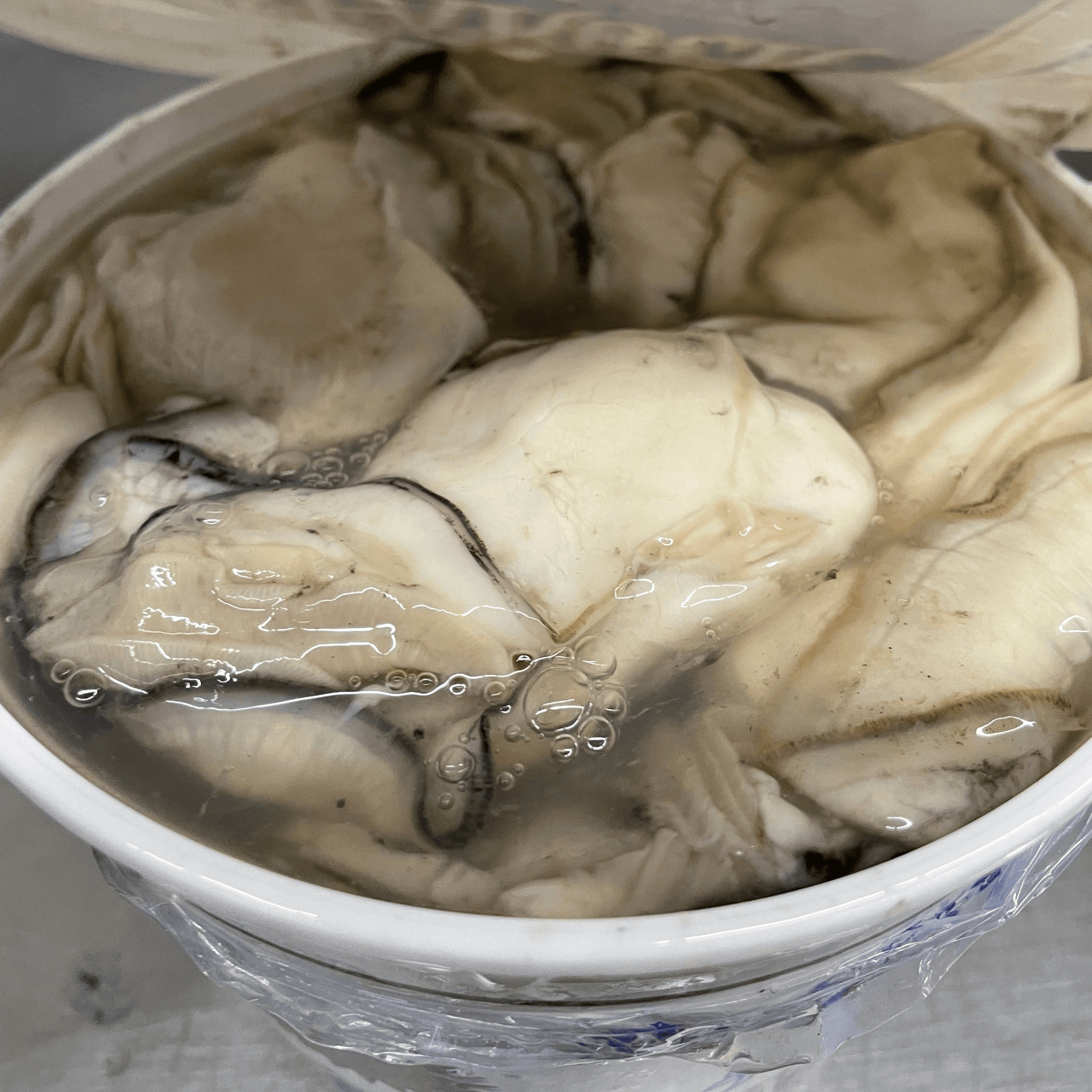 Shucked Pacific Oyster