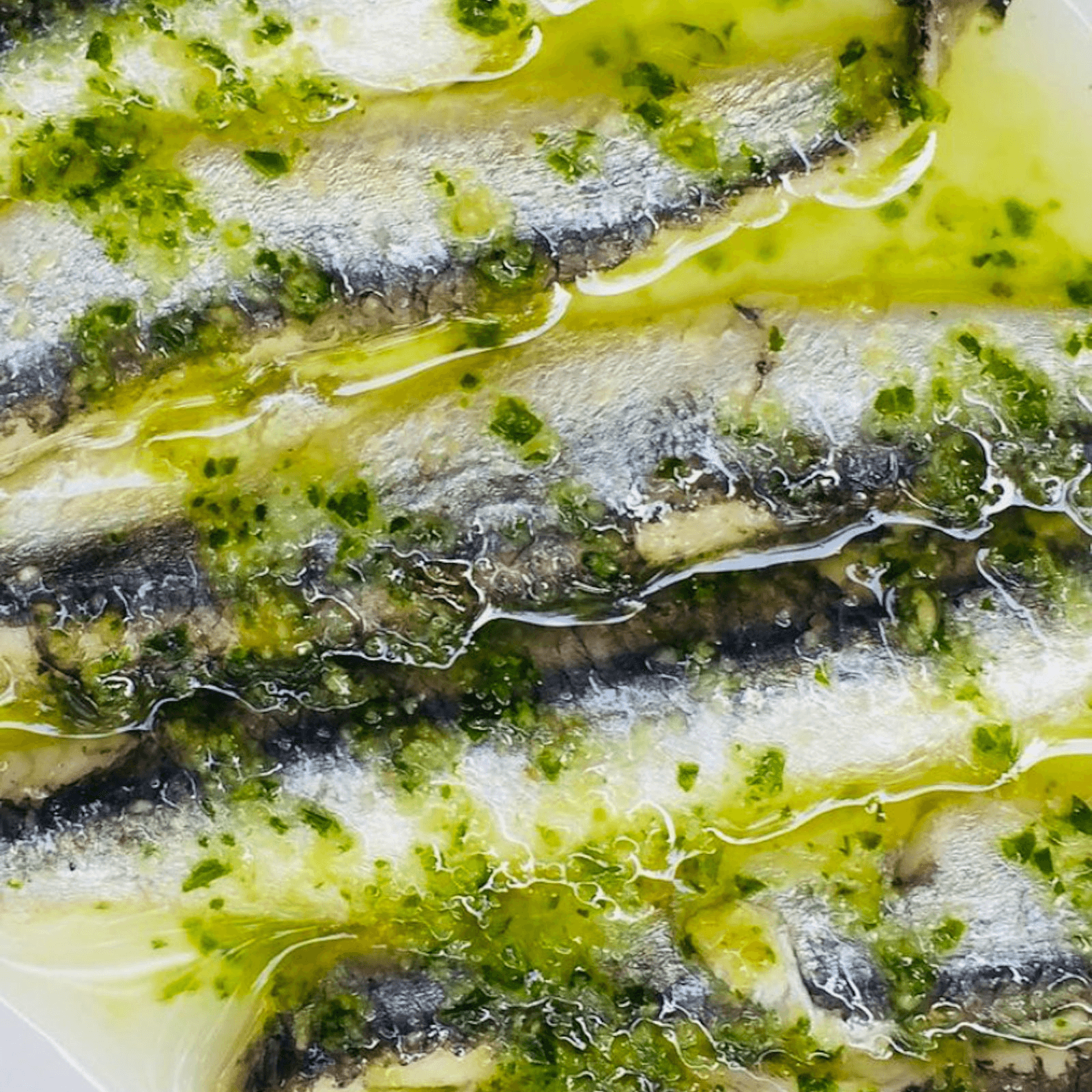Anchovies - Northern California