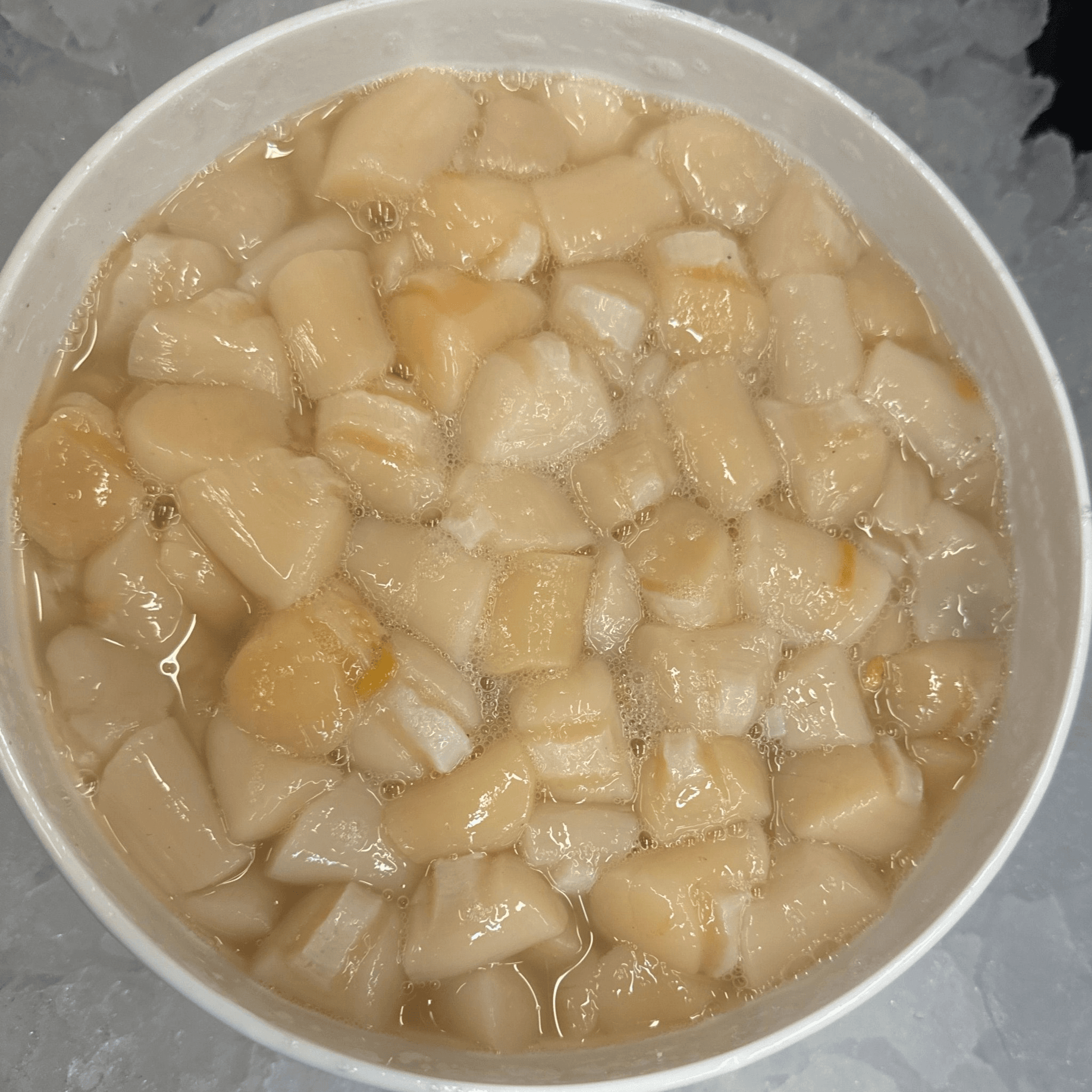 Bay Scallops - Massachusetts