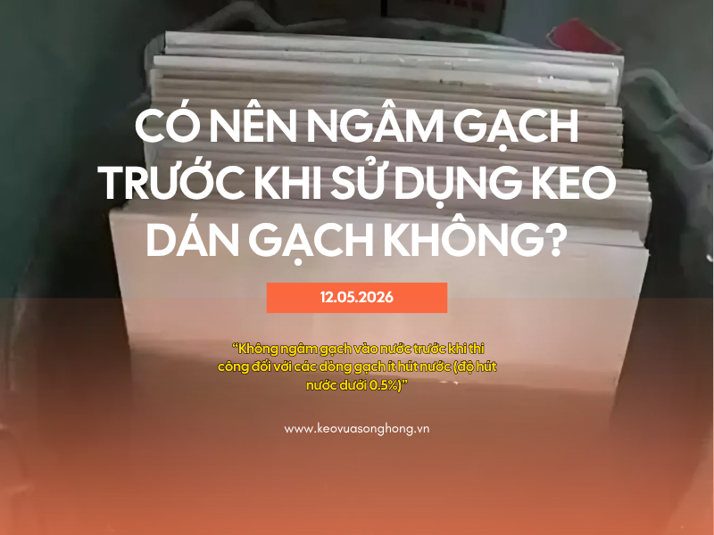 Có Nên Ngâm Gạch Trước Khi Sử Dụng Keo Dán Gạch Không? (Cập Nhật Mới Nhất 2026)