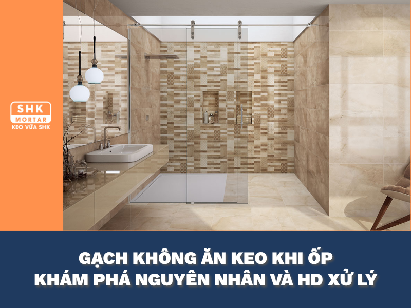 Gạch Không Ăn Keo Khi Ốp Tường Đứng: Nguyên Nhân & Cách Khắc Phục Hiệu Quả