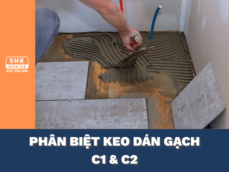 Phân Biệt Keo Dán Gạch C1 và C2: Khác Nhau Thế Nào, Nên Dùng Loại Nào Khi Ốp Lát?