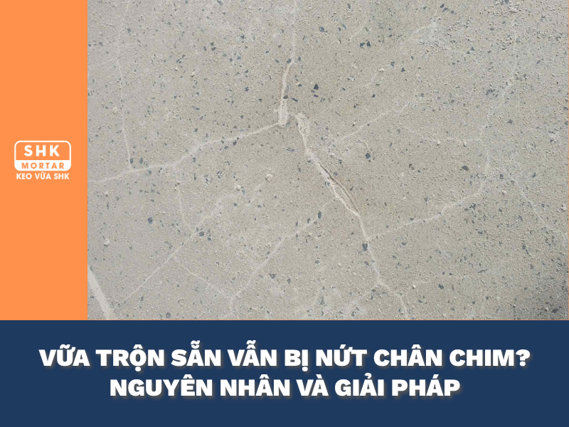 Vữa khô trộn sẵn vẫn nứt chân chim: Hiểu rõ vấn đề và nguyên nhân