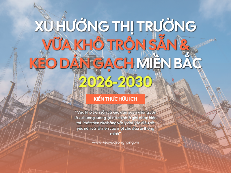 Xu Hướng Thị Trường Vữa Khô & Keo Dán Gạch Miền Bắc 2026-2030