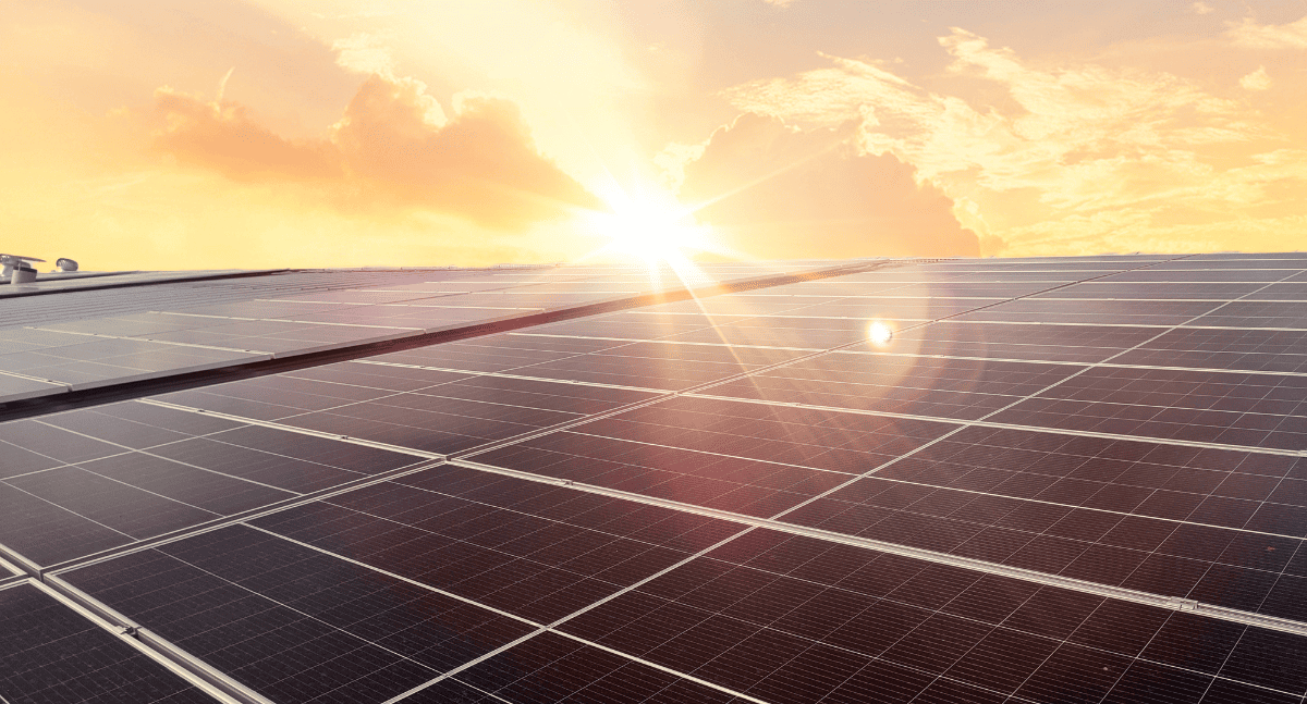 Vì sao panel cách nhiệt trở thành xu hướng 2026