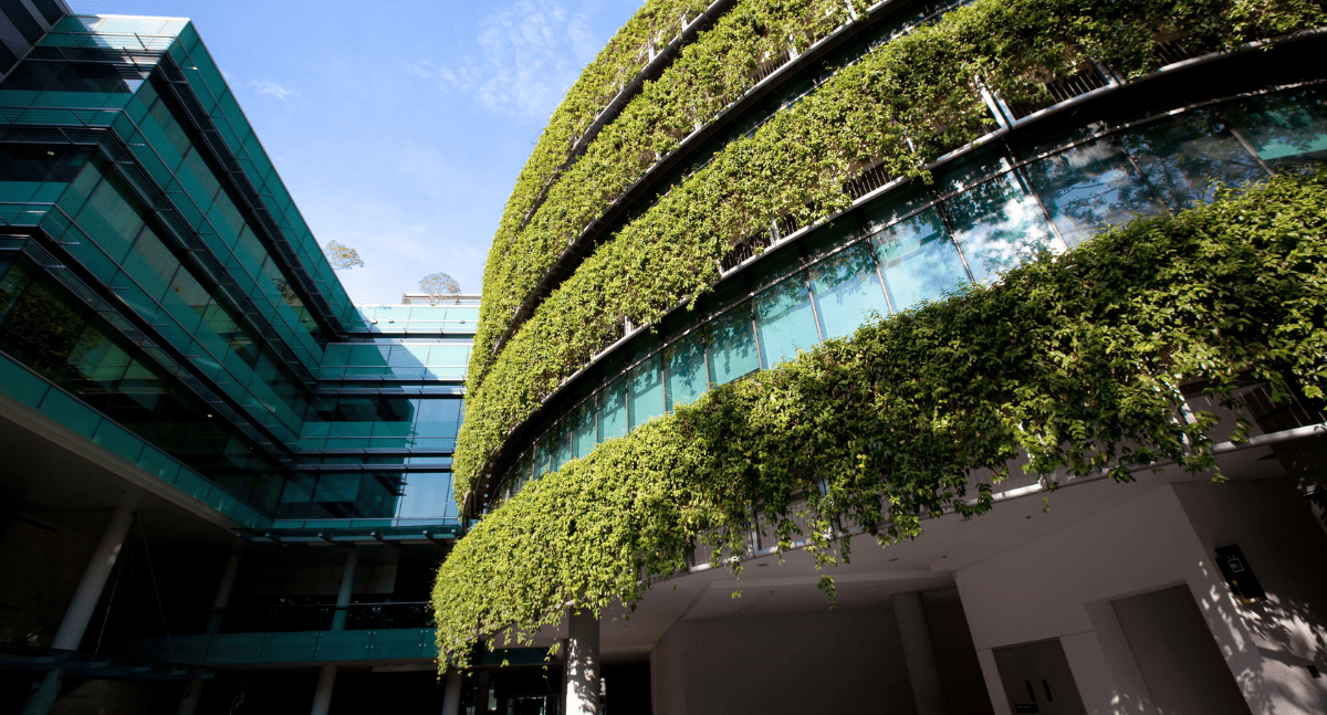 Kiên trúc xanh thân thiện với môi trường 2